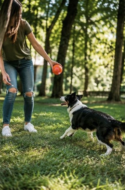 ZoomBall™ | Smart Interactive Dog Ball