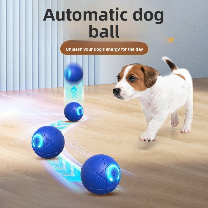 ZoomBall™ | Smart Interactive Dog Ball