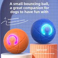 ZoomBall™ | Smart Interactive Dog Ball