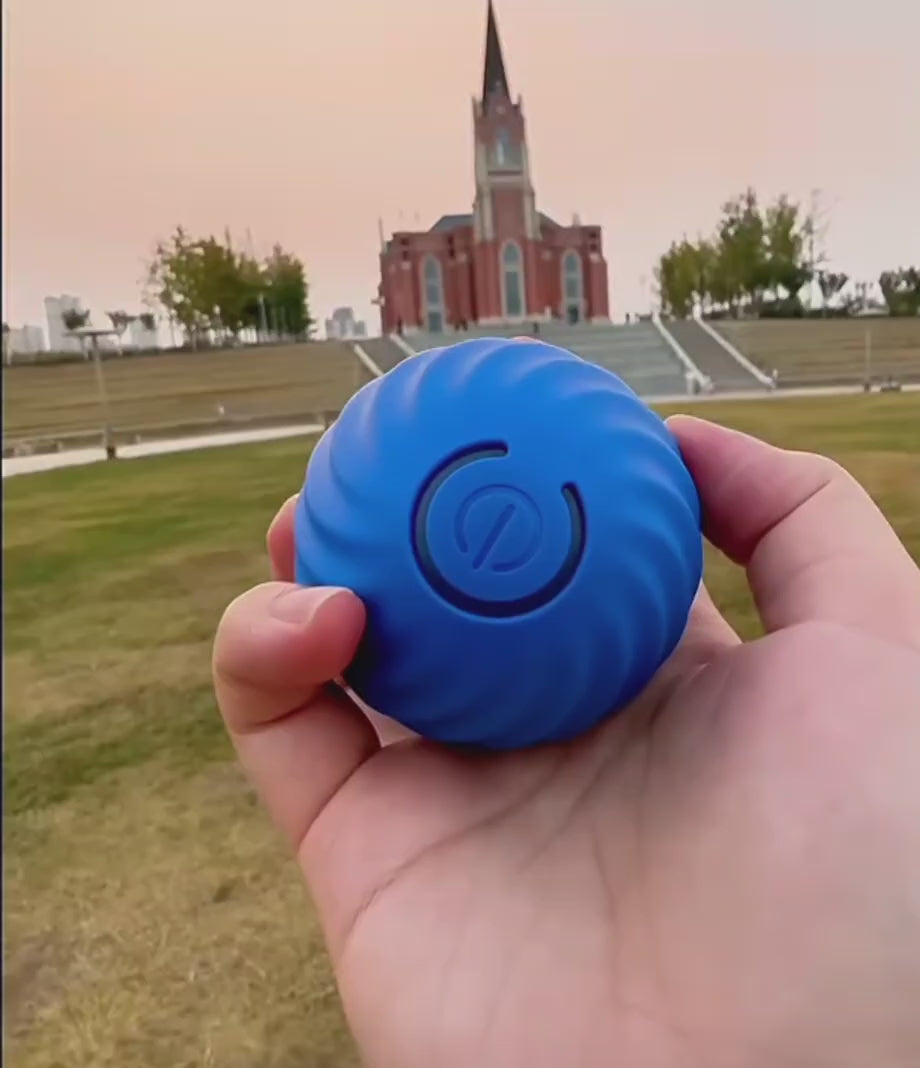 ZoomBall™ | Smart Interactive Dog Ball