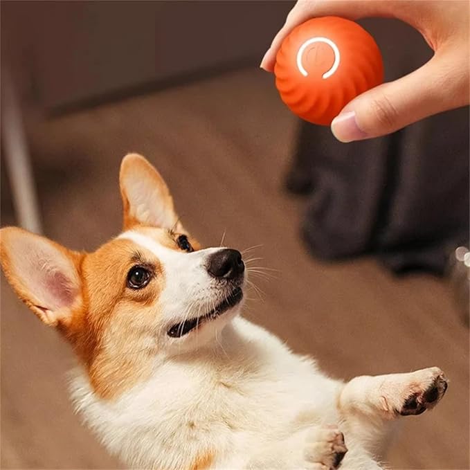 ZoomBall™ | Smart Interactive Dog Ball